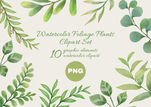 Download Watercolor Foliage Plants Clipart Set - Plants Collection